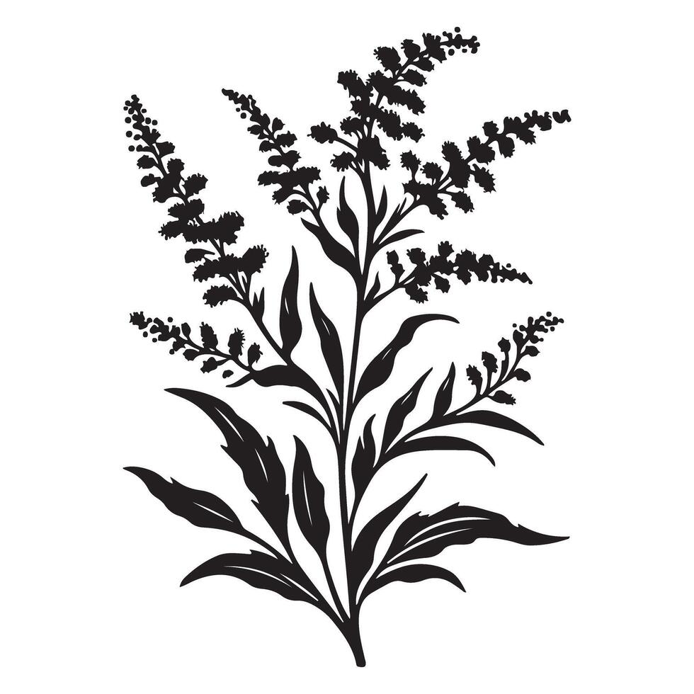 Goldenrod Silhouette Illustration of Wildflower Plant Design vector