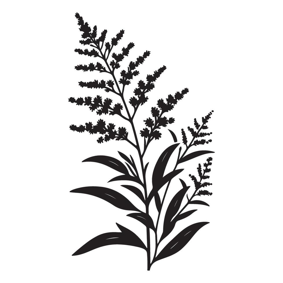 Goldenrod Silhouette Graphic for Floral and Botanical Illustrations vector
