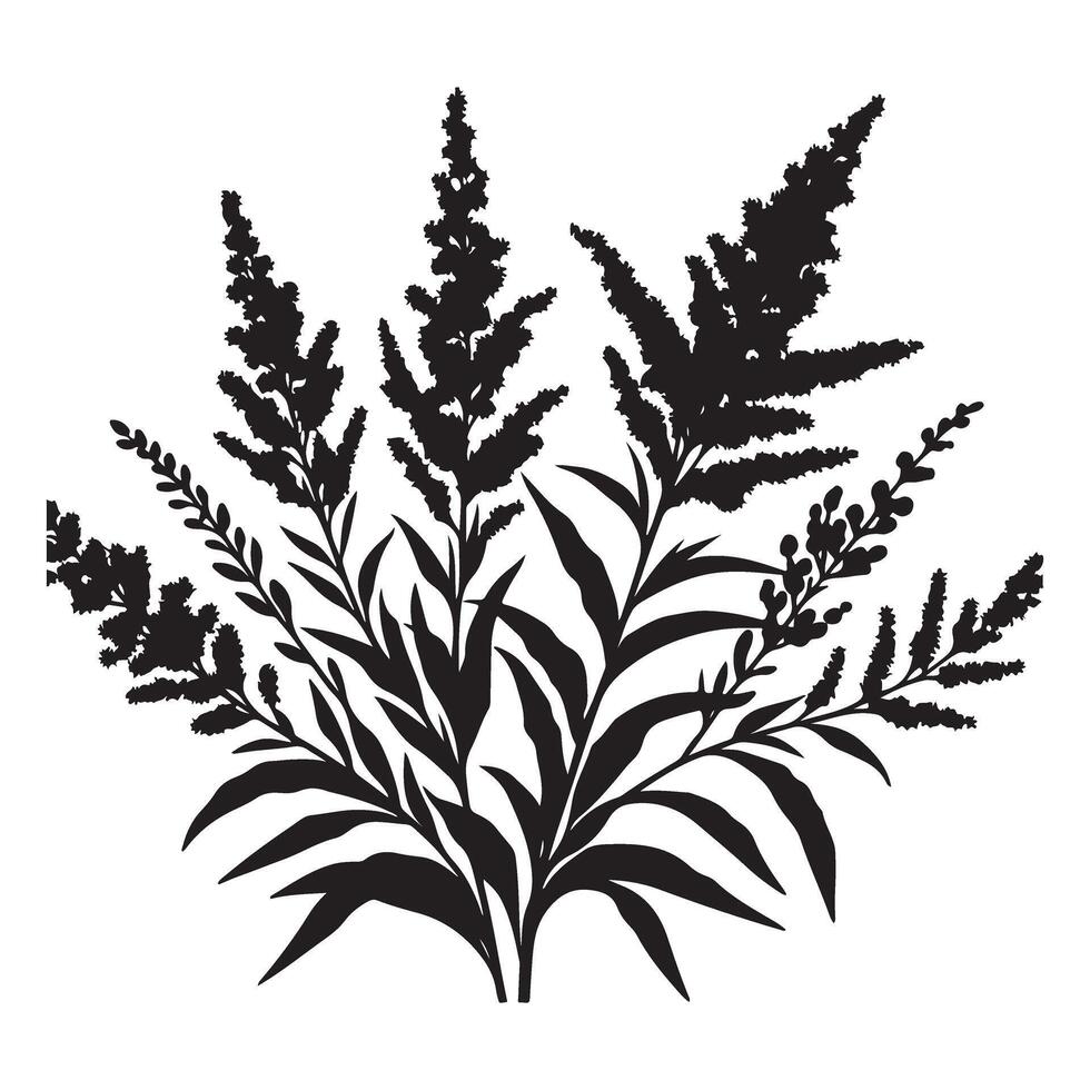 Wildflowers Illustration Goldenrod Floral Design Element Graphic Resource vector