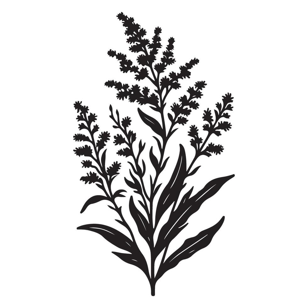 Elegant Silhouette Goldenrod Flower Illustration for Botanical Design Project vector