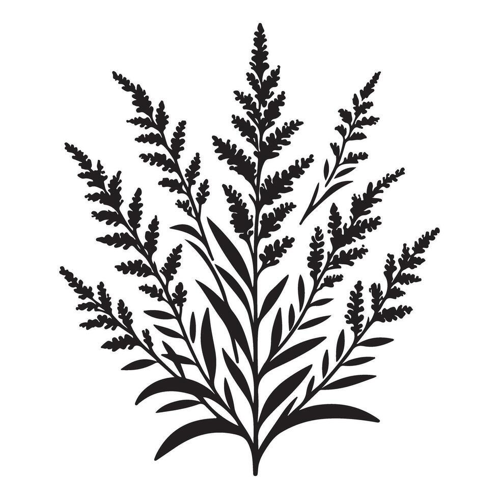 Elegant Fern Fronds Silhouette Illustration for Botanical Design vector