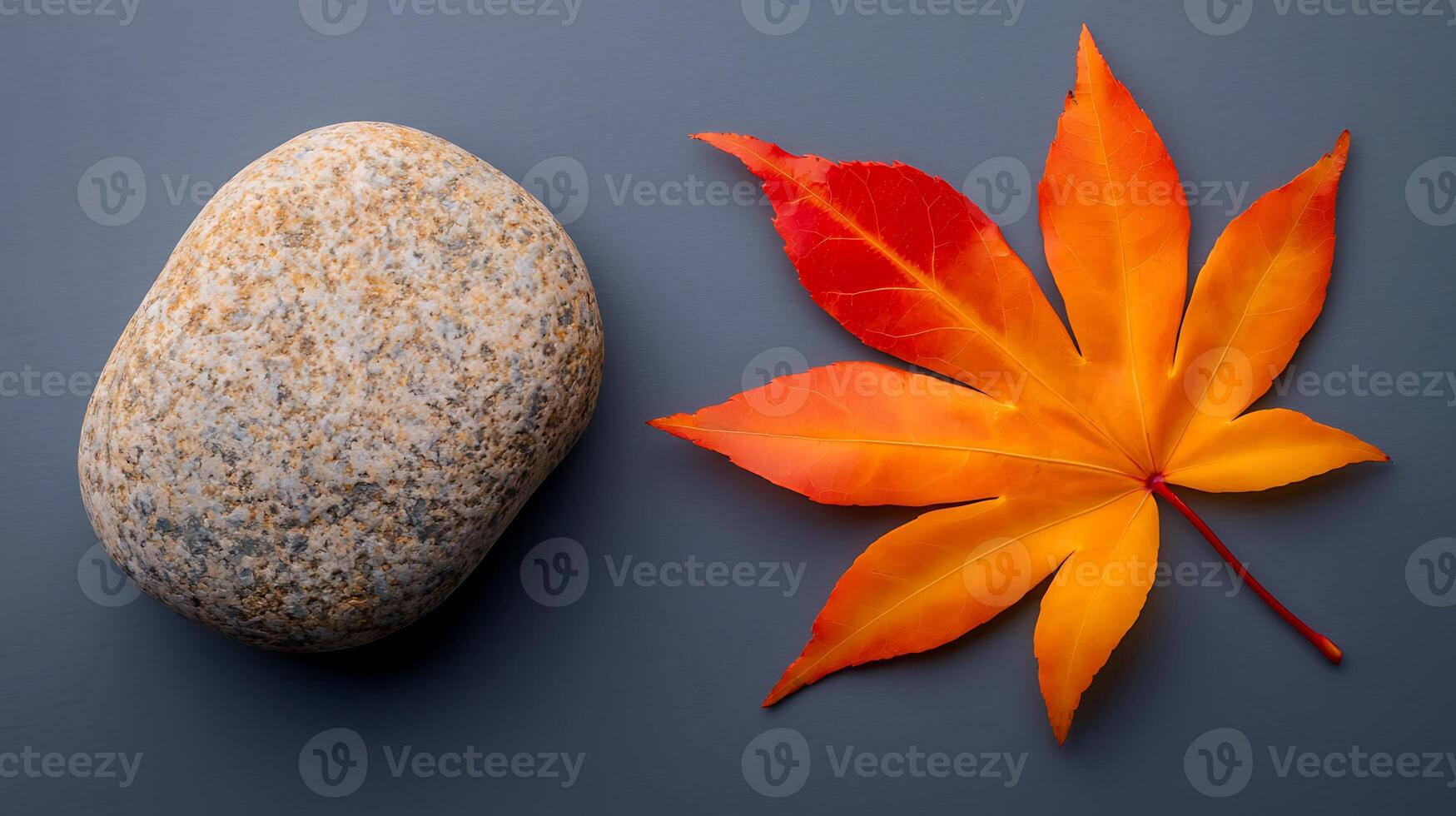 Vibrant autumn maple leaf beside a smooth stone on a gray background, showcasing nature's beauty photo
