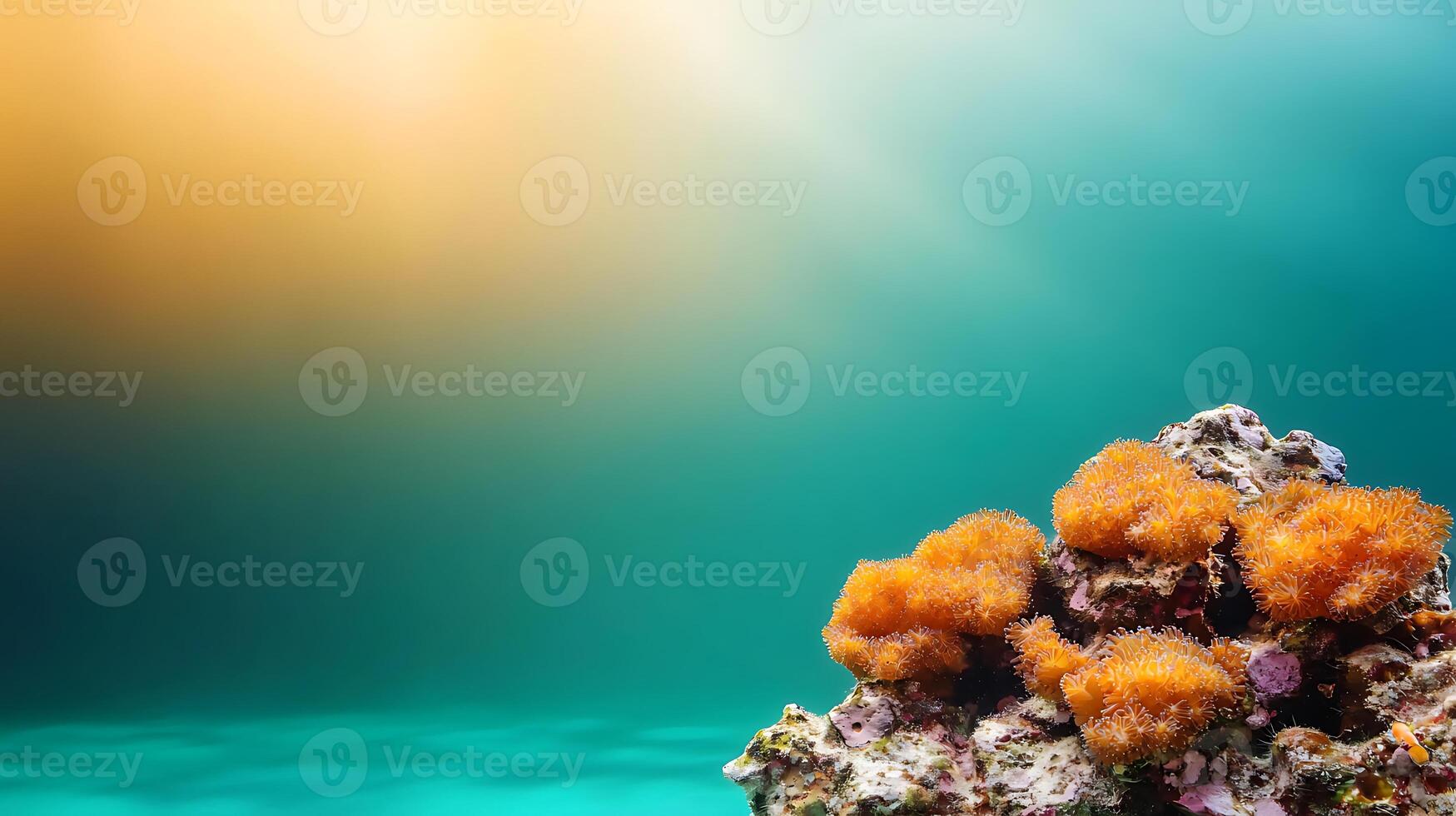 Vibrant coral reef under clear water with soft sunlight filtering through, showcasing marine life photo