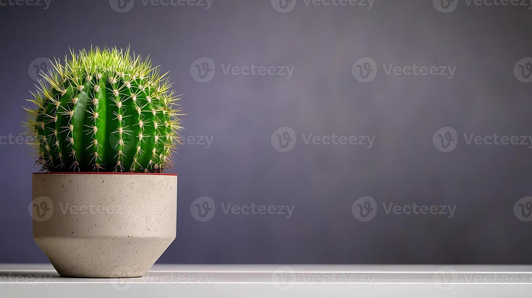 A vibrant green cactus in a modern pot placed on a minimalist shelf against a soft gradient background photo