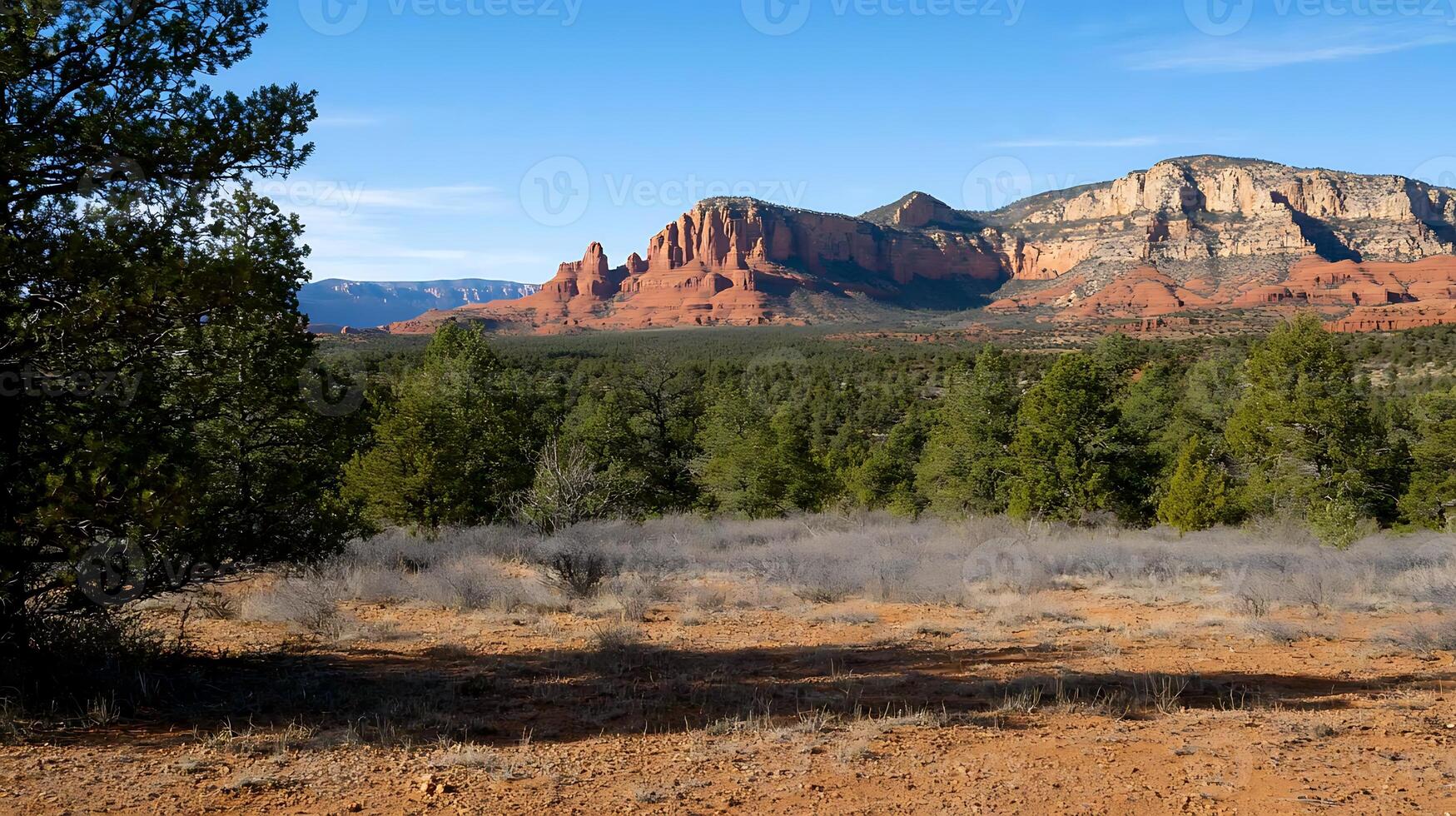 Scenic view of red rock formations surrounded by green pine trees under a clear blue sky photo