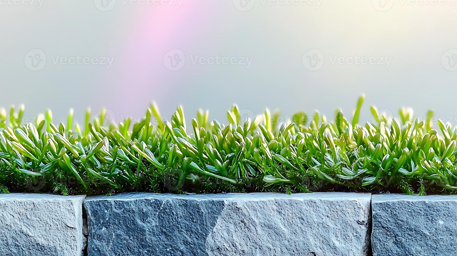 Lush green grass growing vibrantly atop a stone wall under a soft pastel sky photo