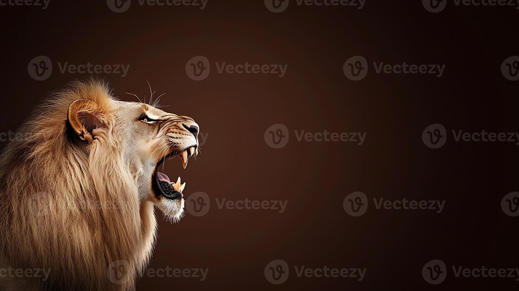 Majestic lion roaring against a dark background, showcasing its powerful presence and beauty photo