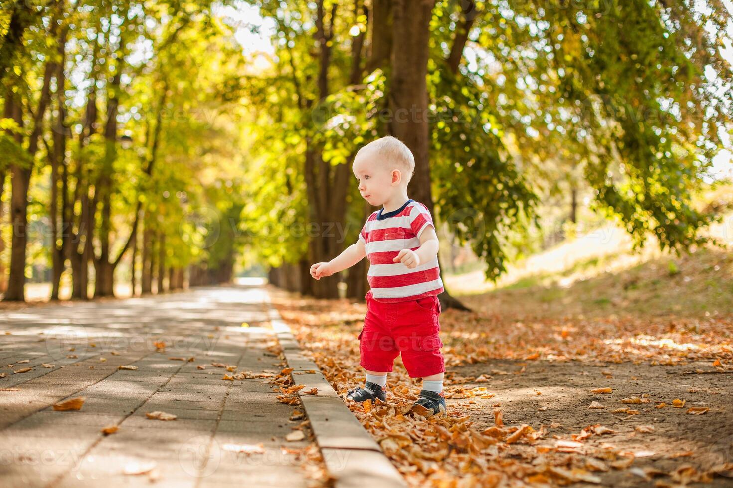 One-year-old little boy exploring the world in an summer forest photo
