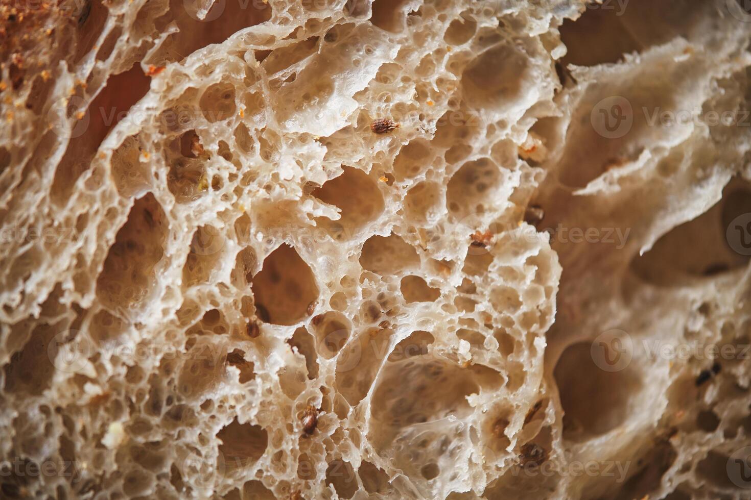 Perfectly baked organic sourdough bread crumb with whole wheat flour photo