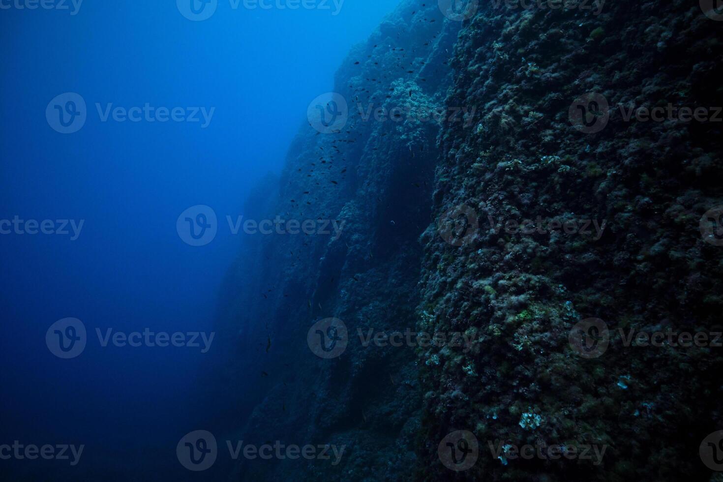 Rough massive coral reef under sea water photo
