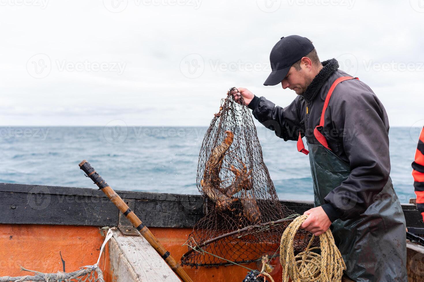 Fisherman holding a net with lobsters on a boat photo
