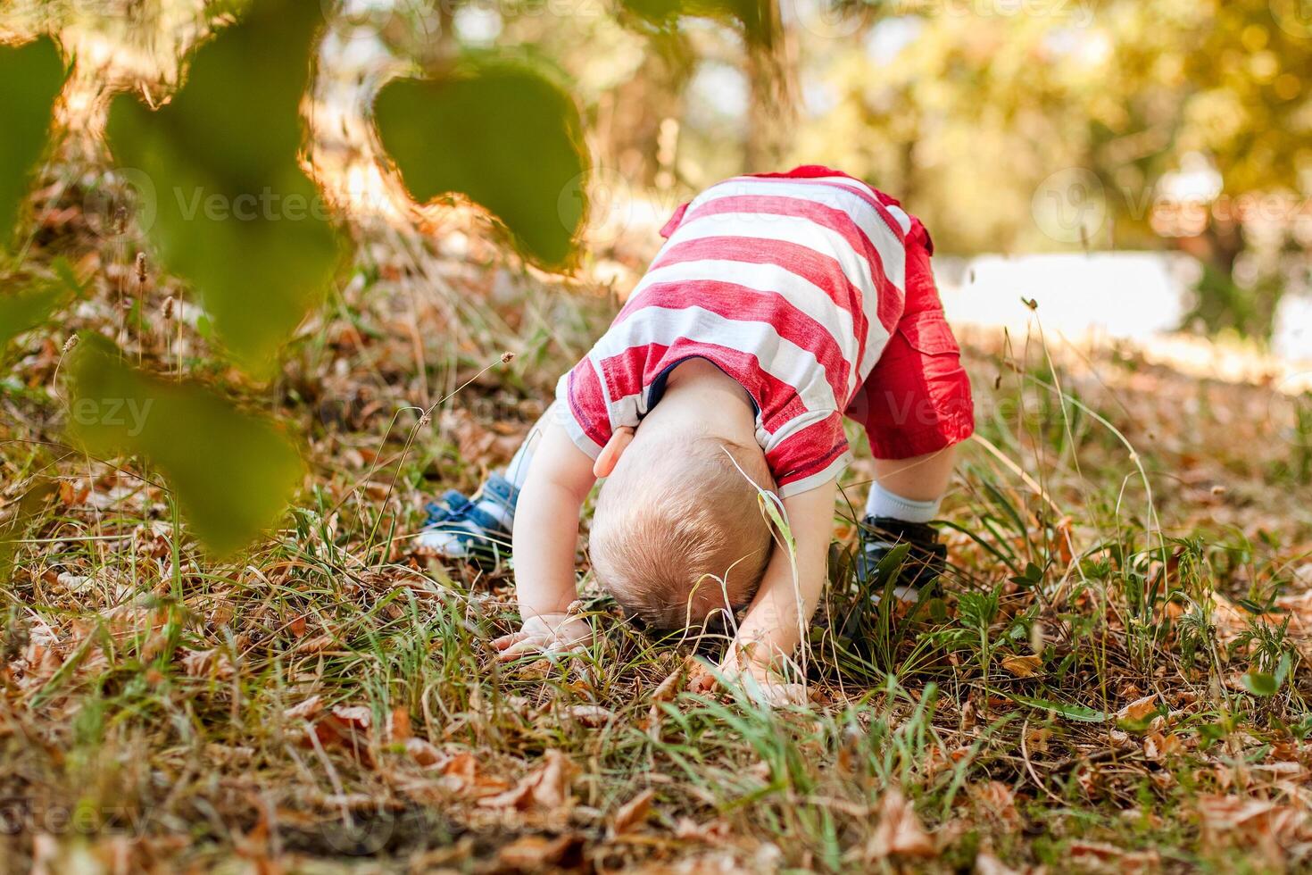 Baby under one year old learning to crawl on autumn leaves in a warm park. photo