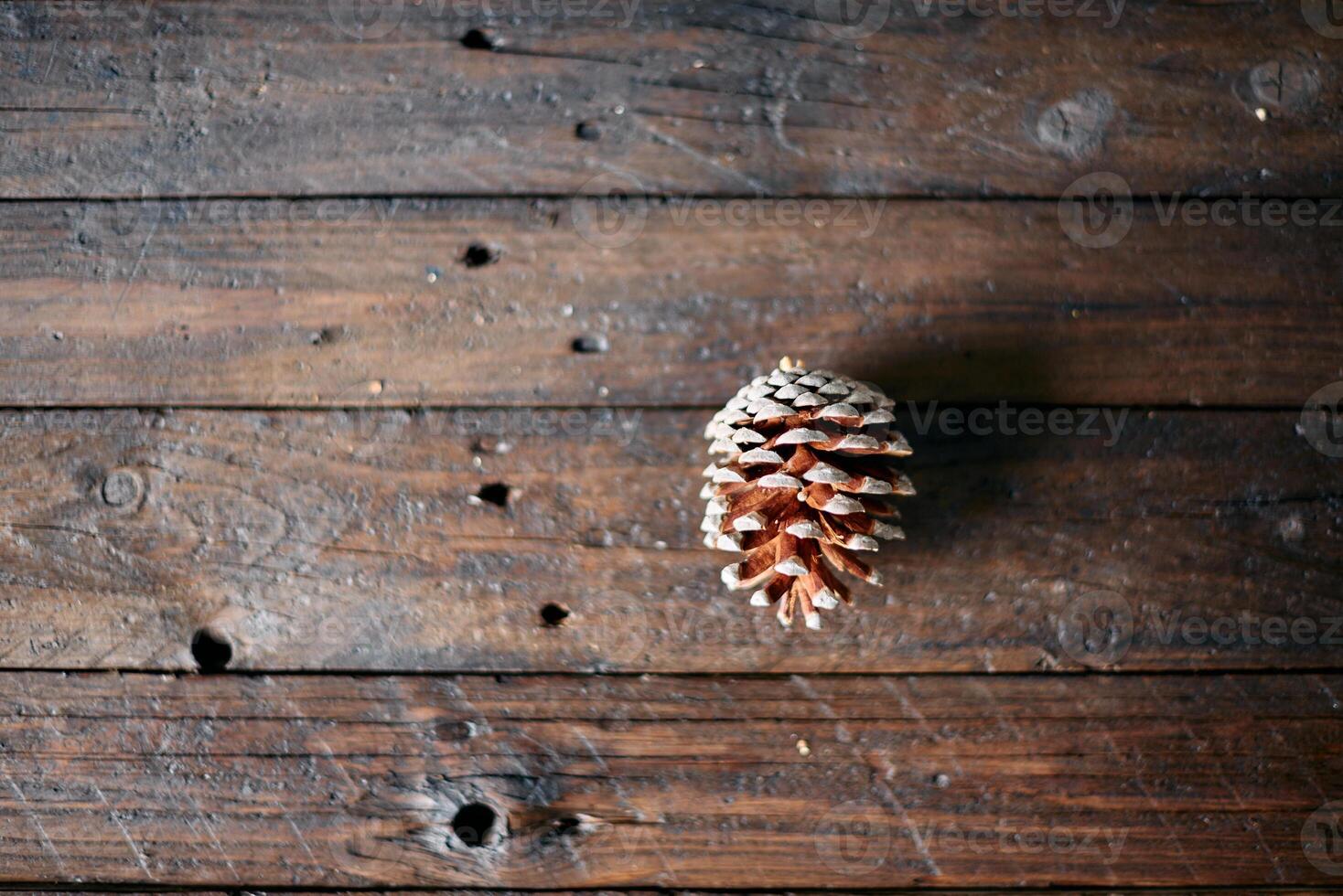 A pine cone of a stone pine on a wooden table photo