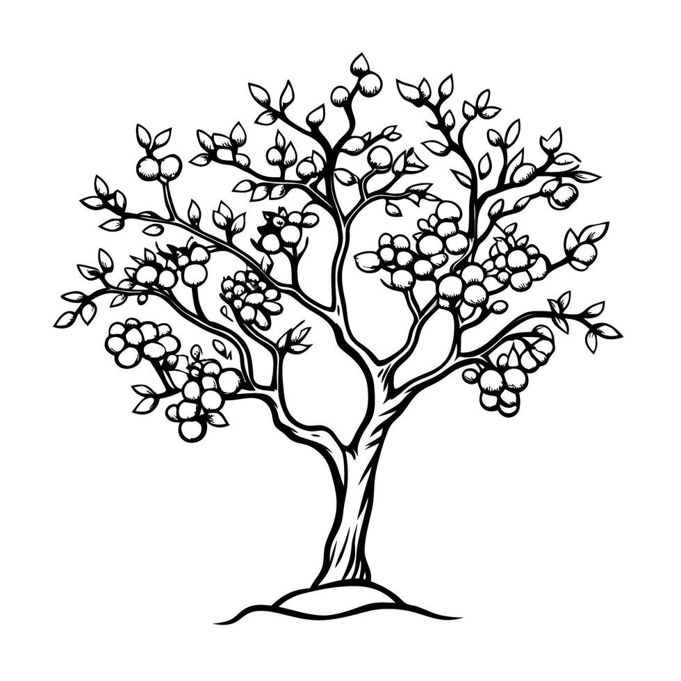 Fruit tree illustration black and white line art depicting branches, leaves, detailed botanical design vector