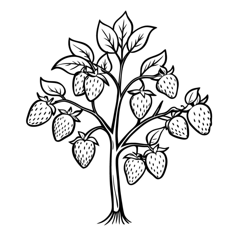 Illustrated strawberry plant with leaves and fruit, detailed botanical line art vector