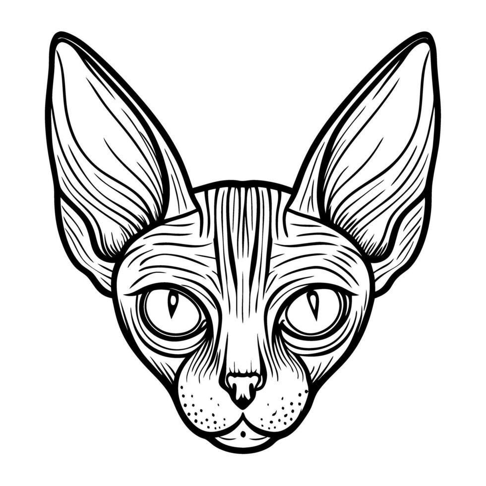 Stylized sphynx cat head illustration with large ears and bold lines vector