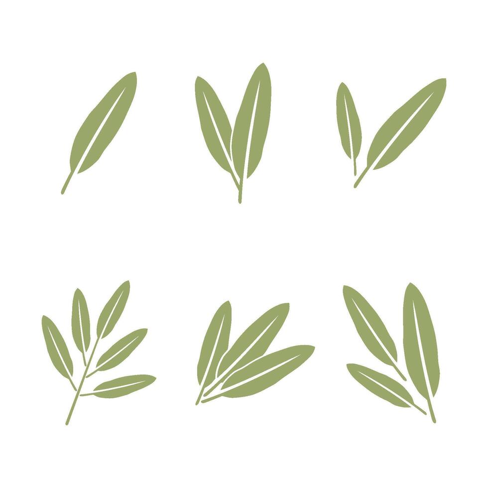 Sage Leaves Set Icon Logo Template Illustration Design. EPS 10. vector
