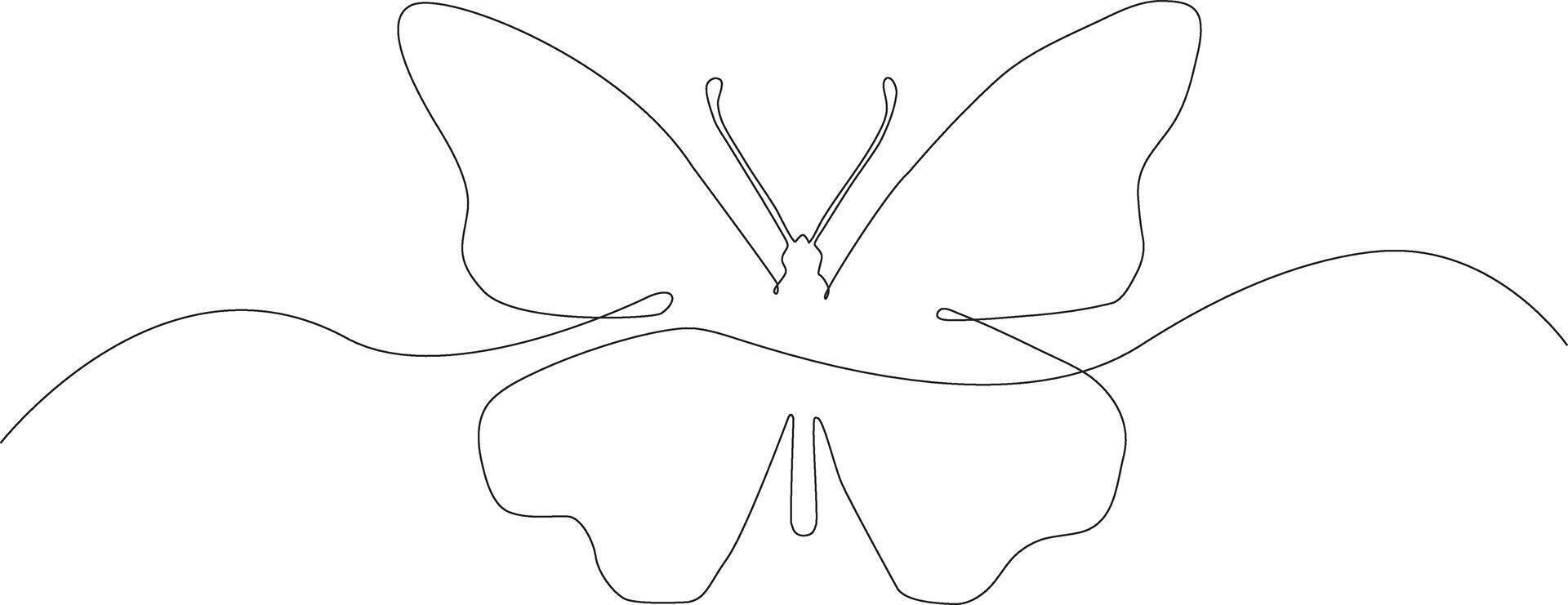 A line drawing of a butterfly with a long tail vector