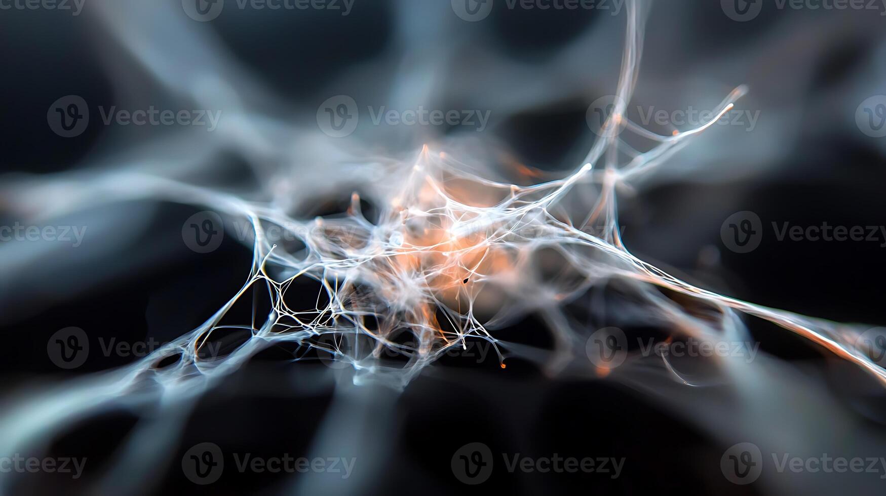 Abstract close-up of intricate web-like structures illuminated against a dark background photo