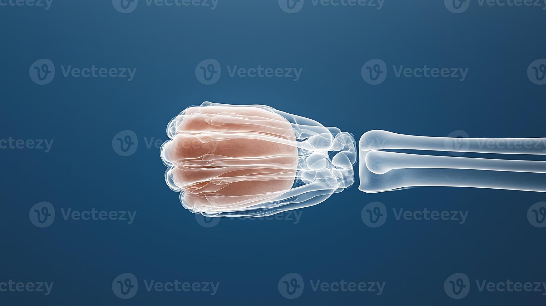 Human fist depicted with an x-ray effect against a blue background, emphasizing anatomy photo