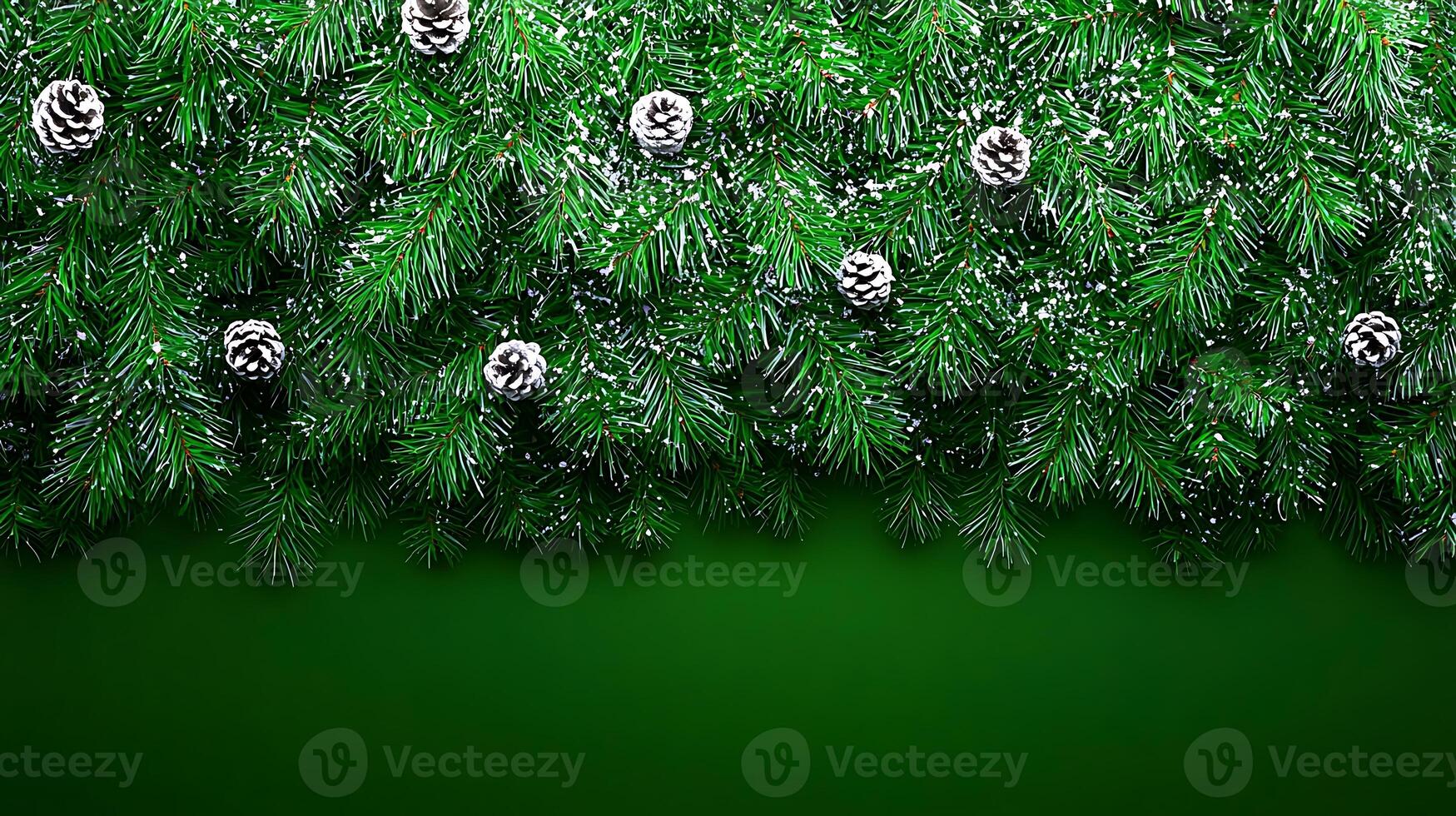 Lush green pine branches adorned with pine cones and a dusting of snow against a dark background photo