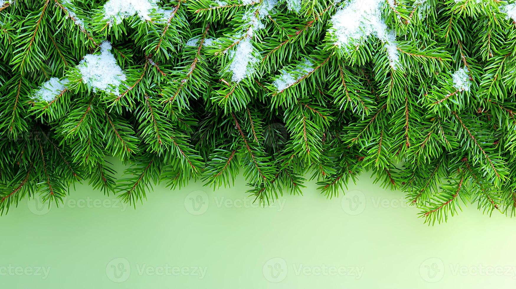 Lush green pine branches adorned with snowflakes against a soft gradient background photo