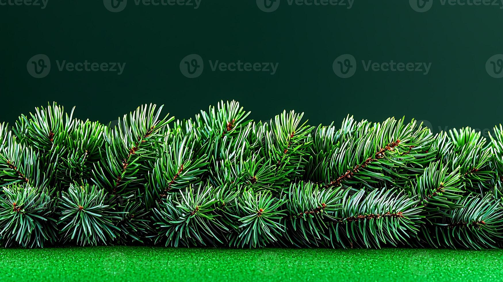 Lush green pine branches arranged on a vibrant green background, evoking a festive atmosphere photo