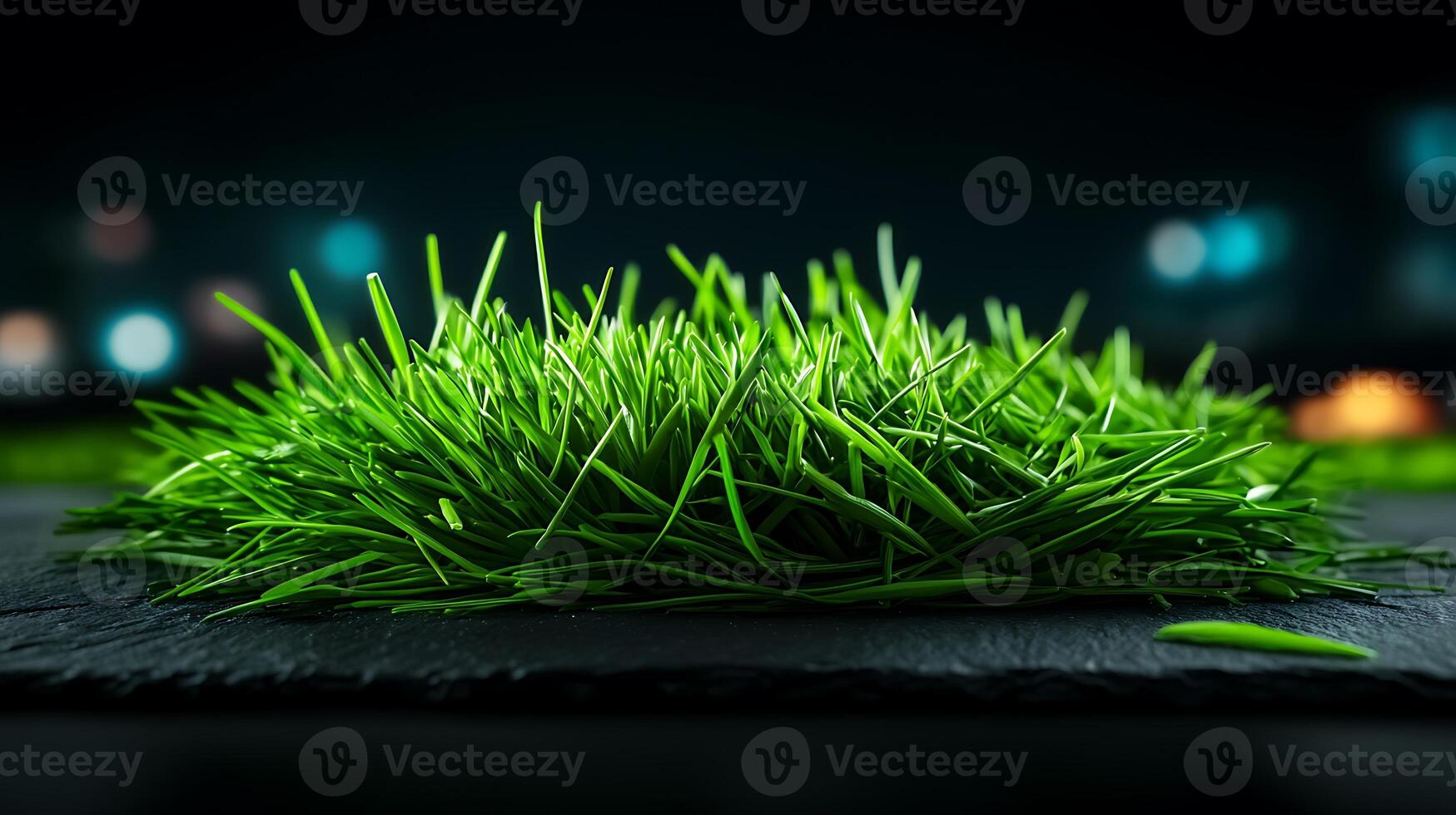 Lush green grass on a dark slate surface with blurred colorful lights in the background photo