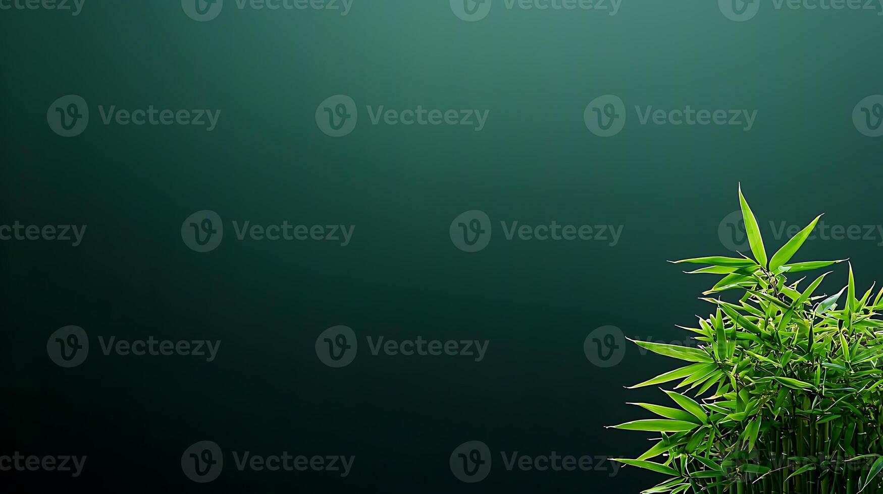 Lush green bamboo leaves against a dark gradient background, creating a serene and tranquil atmosphere photo