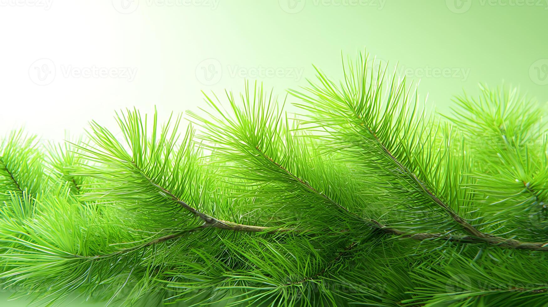 Lush green pine branch with soft focus background, ideal for nature-themed designs photo