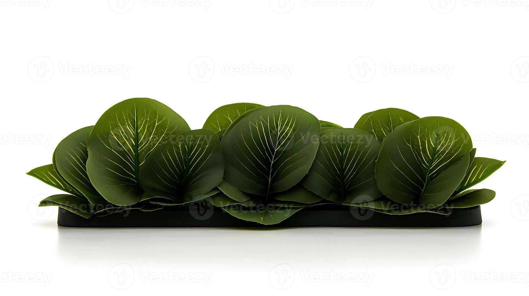 Lush Green Leaves in a Minimalist Arrangement on a White Background for Decorative Use photo