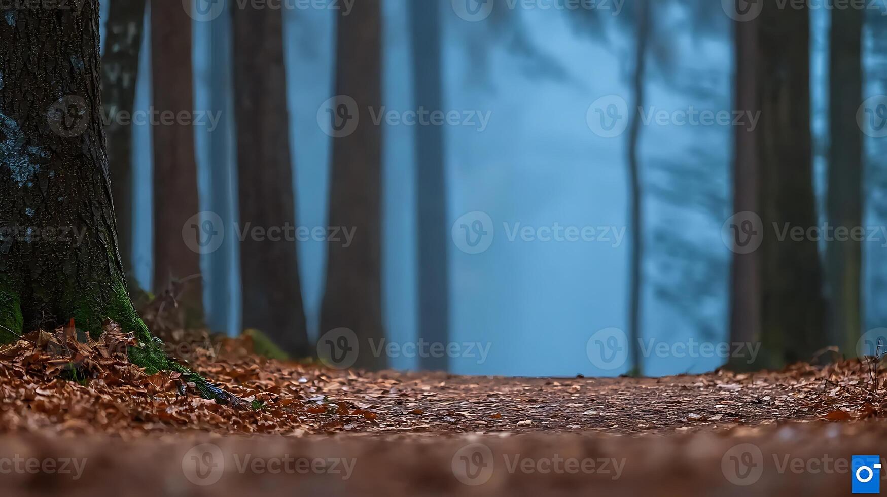 Serene forest path lined with autumn leaves, surrounded by tall trees in a misty atmosphere photo