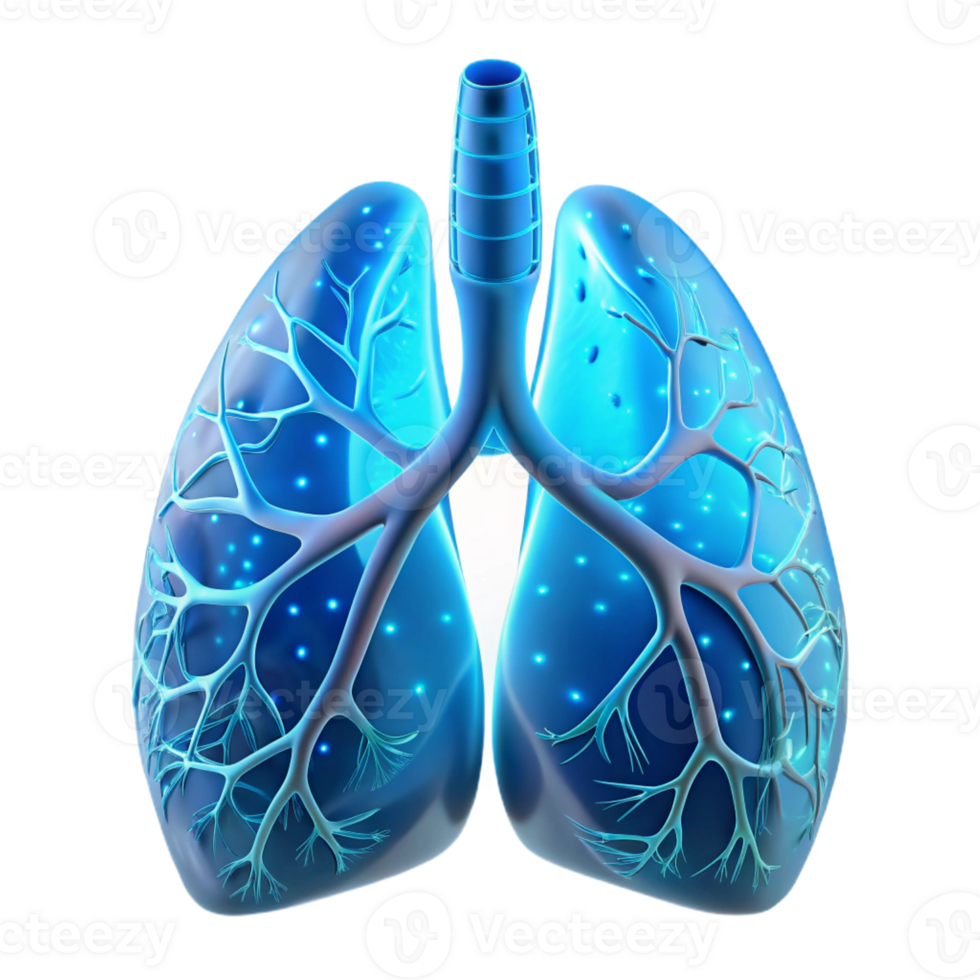 impressive vintage Human lungs interwoven with delicate, glass-like capillaries filled with glowing, fluorescent fluid, illuminated by a soft, diffused light, in a bioluminescent style professional png