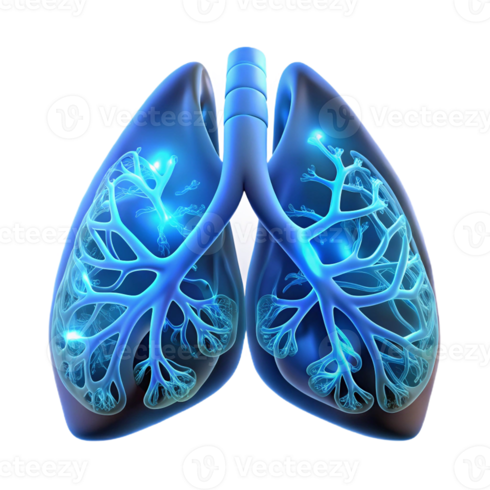 wonderful modern Human lungs interwoven with delicate, glass-like capillaries filled with glowing, fluorescent fluid, illuminated by a soft, diffused light, in a bioluminescent style detailed png
