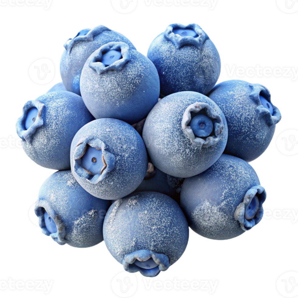 elegant artistic A cluster of ripe wild blueberries covered in a delicate layer of frost, close-up macro photography, cool blue lighting detailed png