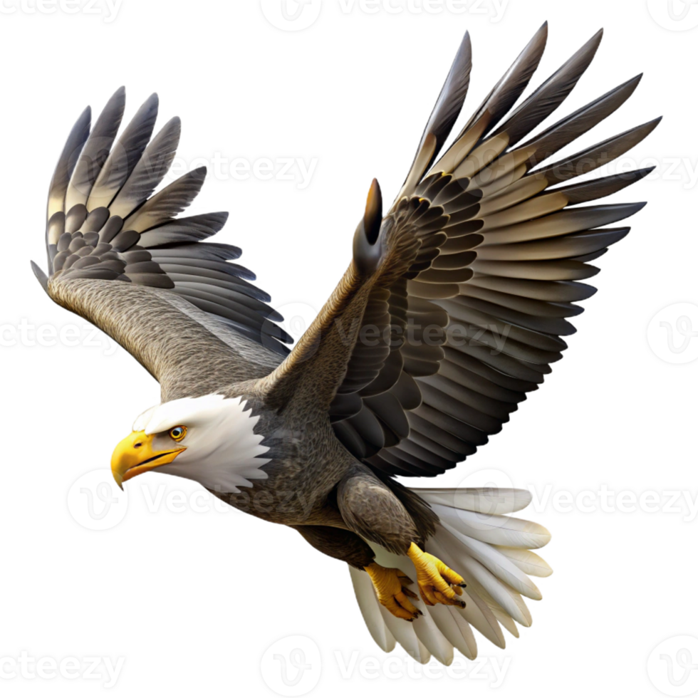 serene contemporary A majestic bald eagle soaring through the sky, powerful and graceful, nature photography style exclusive png