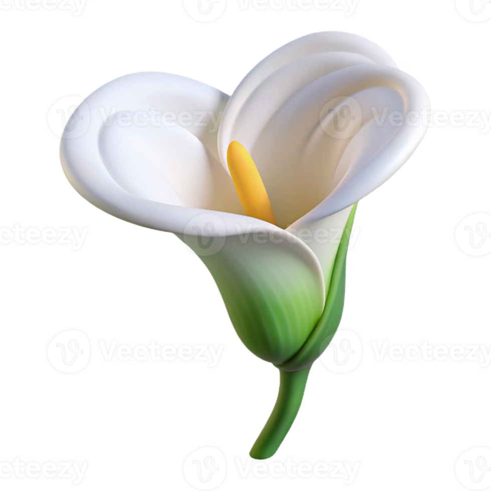 serene abstract A single, perfect white calla lily, its delicate petals unfurling, lit by a soft, cool light. Minimalist style detailed png
