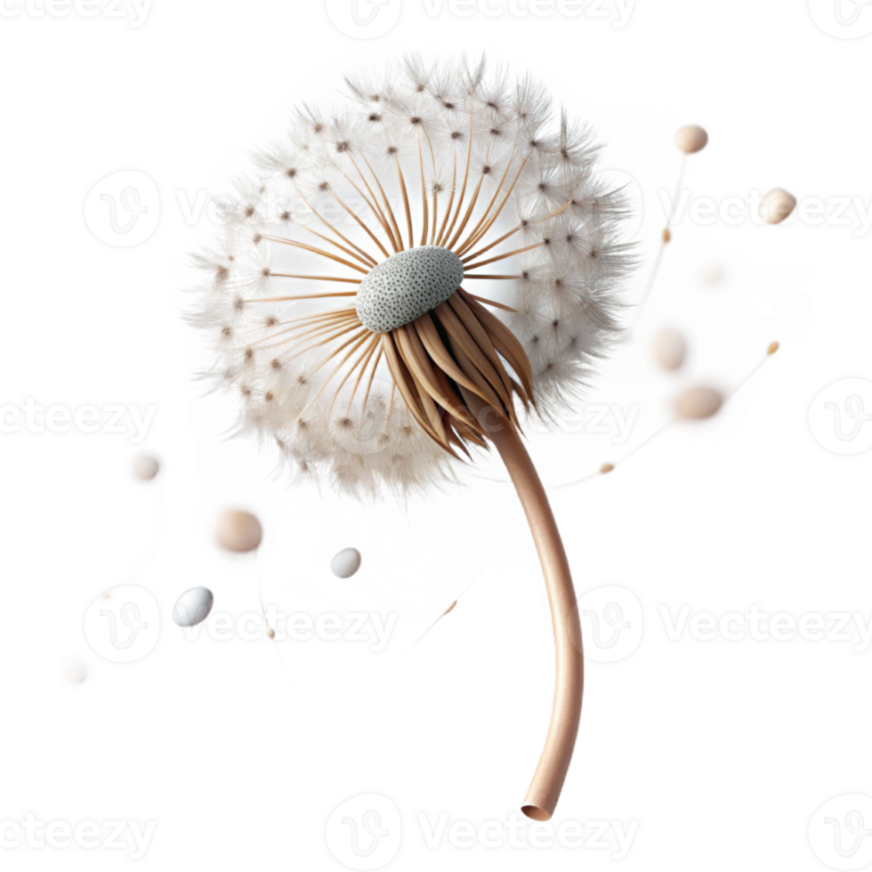 wonderful minimalist A single dandelion seedhead with seeds blowing in the wind, delicate, ethereal lighting, macro photography high resolution png
