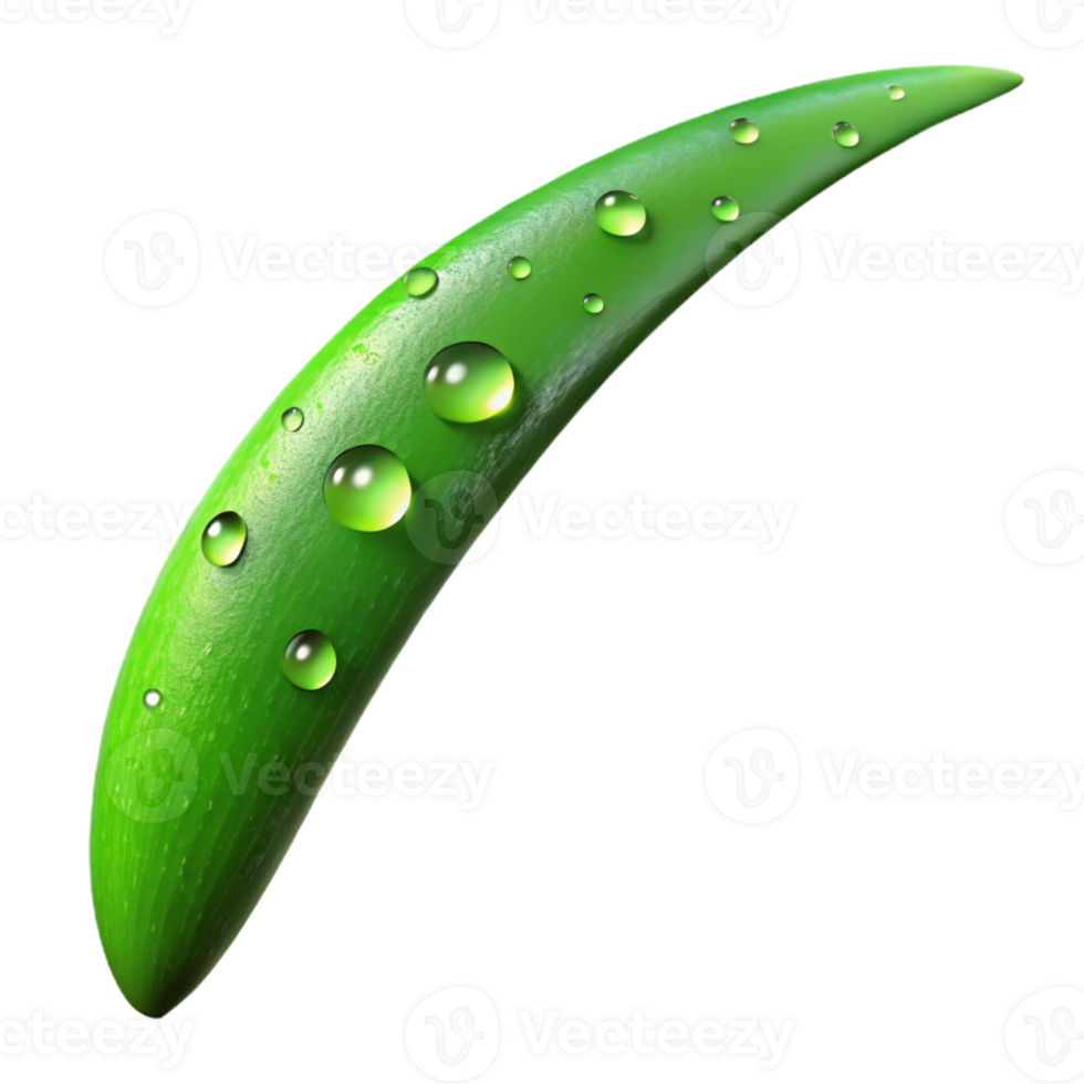 vibrant minimalist A single blade of grass covered in dew drops, vibrant green, morning sunlight, macro photography style authentic png