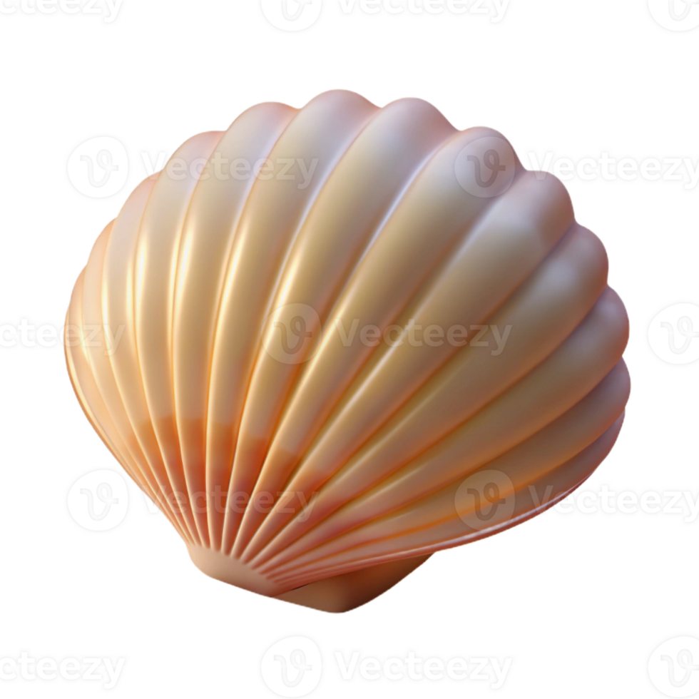 beautiful traditional A single, perfect seashell resting on white sand, illuminated by soft, diffused light, with a minimalist, clean photography style high resolution png