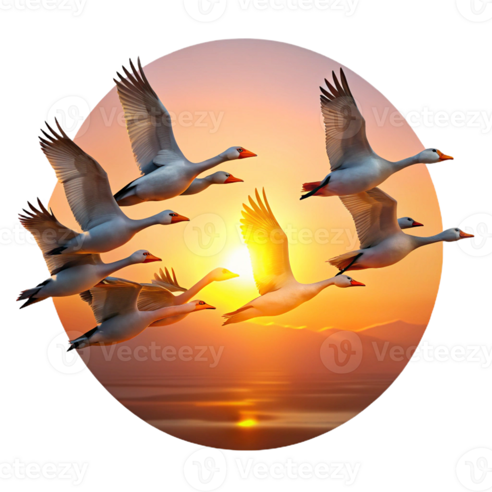 extraordinary abstract A flock of migrating geese flying in formation, illuminated by sunset, in a serene, painterly style authentic png