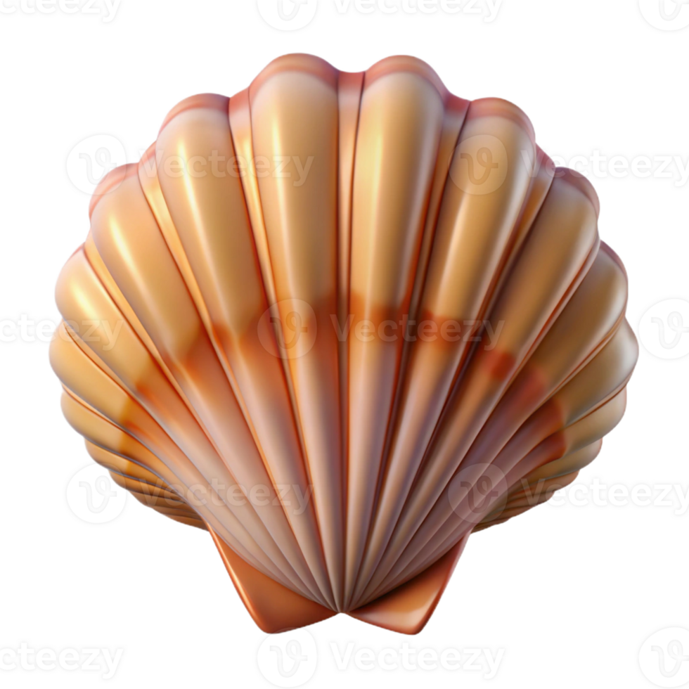 impressive classic A close-up of a seashell, intricate details, macro photography style genuine png