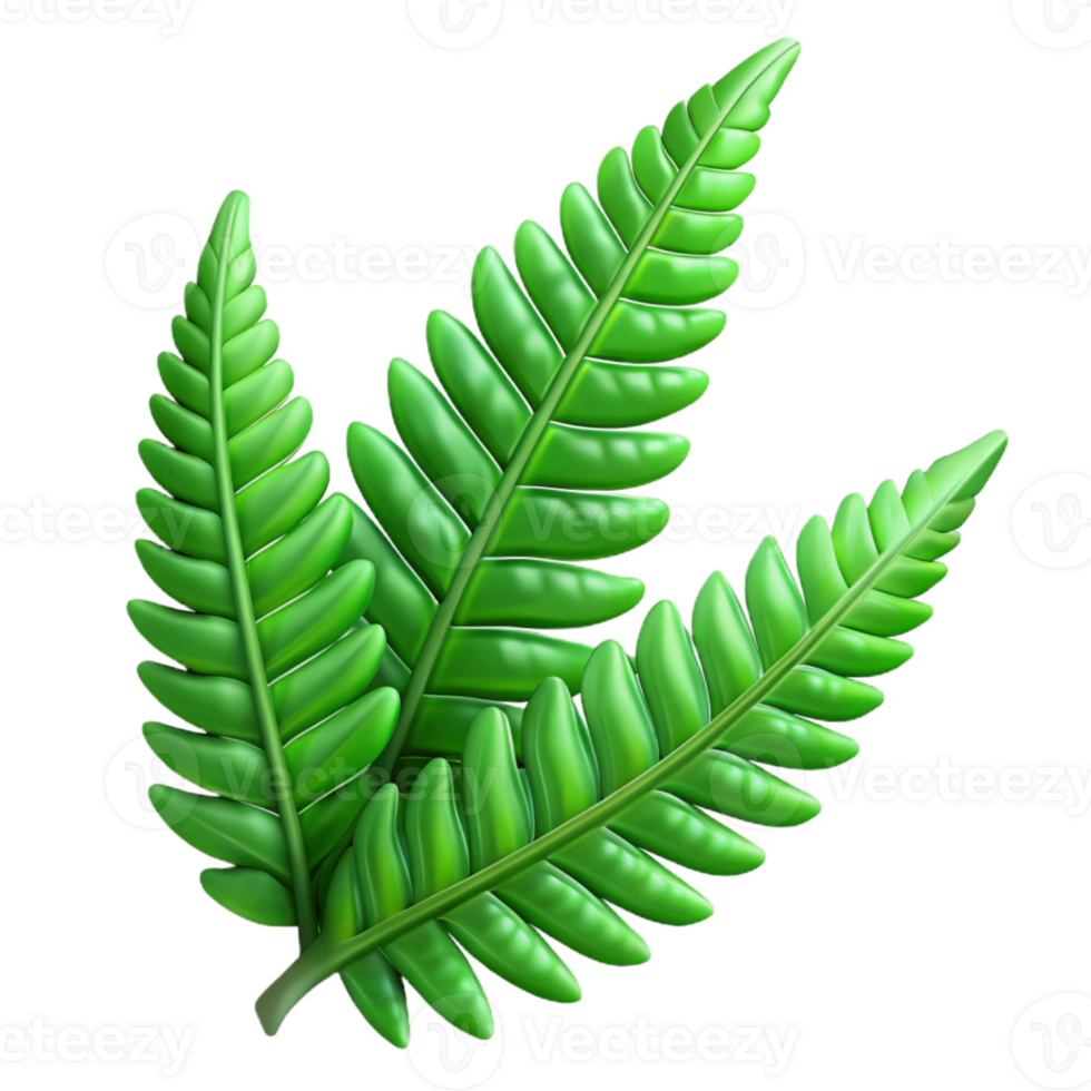 beautiful rustic A lush green fern frond, intricate details, soft dappled light, botanical illustration style genuine png
