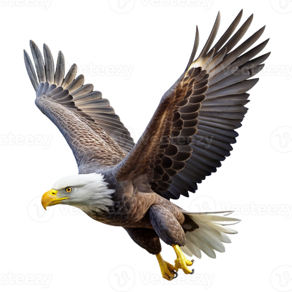 beautiful contemporary A majestic bald eagle soaring through the air, talons outstretched, with a powerful, wildlife photography style original png