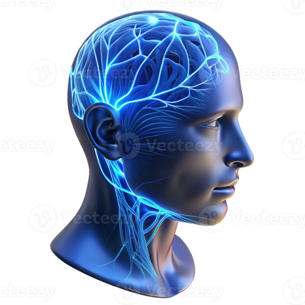 beautiful artistic A transparent human head with visible neural pathways illuminated by pulsating blue light, detailed anatomy, scientific illustration style detailed png