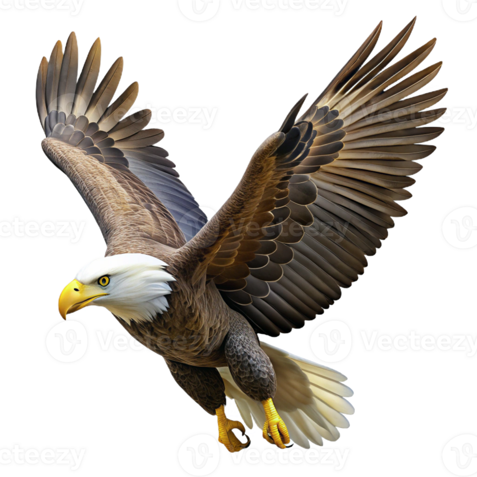 beautiful creative A bald eagle soaring through the sky, powerful and majestic, photorealistic style, natural lighting exclusive png