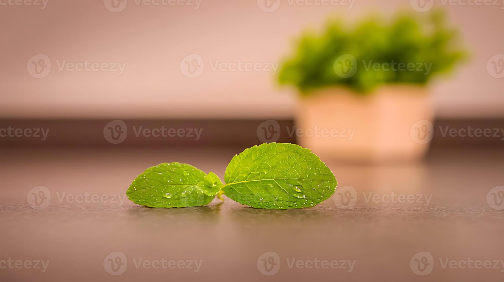 Close-up of fresh green mint leaves with droplets on a countertop, soft-focus plant in background photo