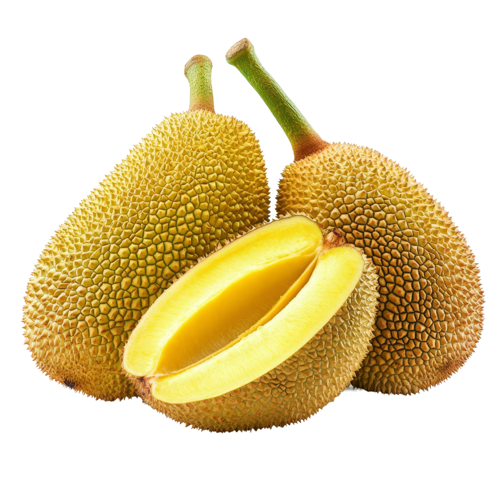 Fresh jackfruits with bright yellow flesh on a transparent background, highlighting their natural texture, fresh jack fruits isolated on transparent background png