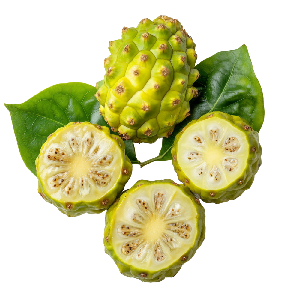 Fresh noni fruit with green leaves displayed on a transparent background highlighting its unique texture and color, Noni fruit on transparent background background png