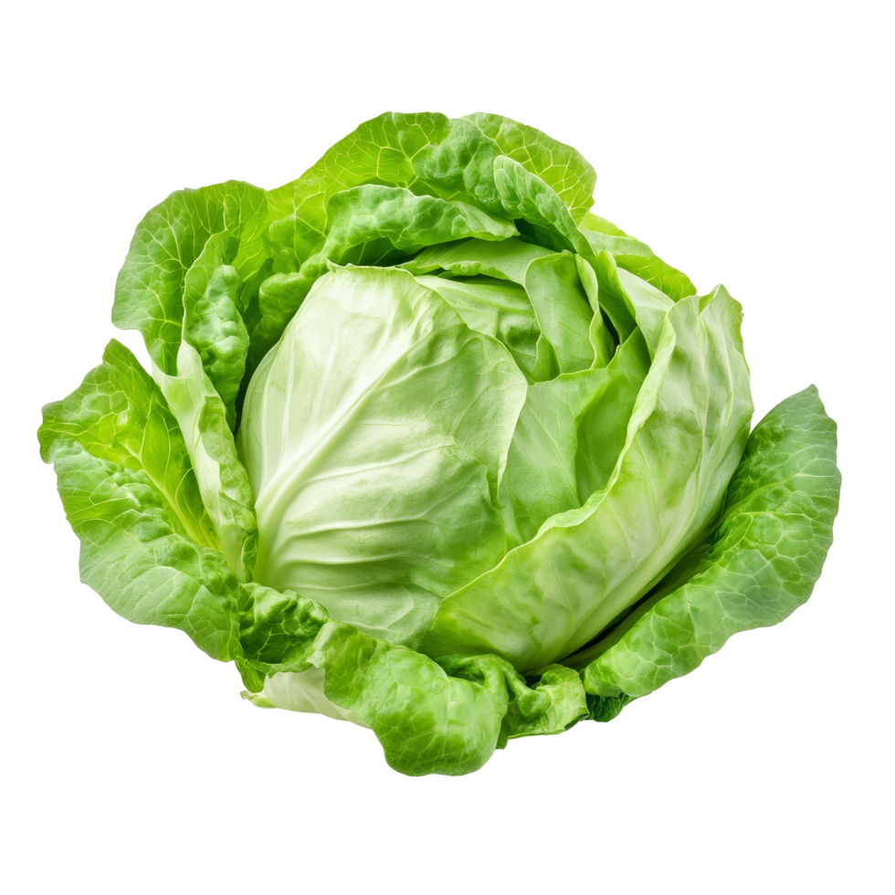 Fresh green iceberg lettuce isolated on a transparent background, showcasing its crisp leaves and vibrant color, Green Iceberg lettuce isolated on transparent background png